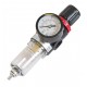 Druckregelventil mit Wasserabscheider für Kessel PP-T 0012